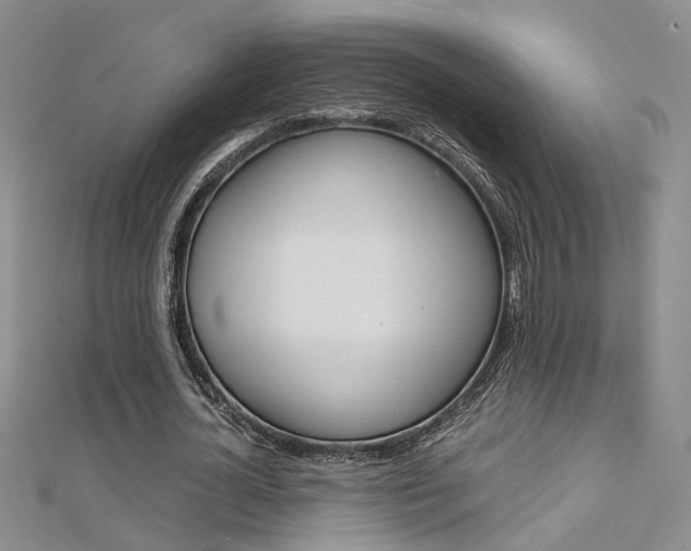 X0000112170724200908070959