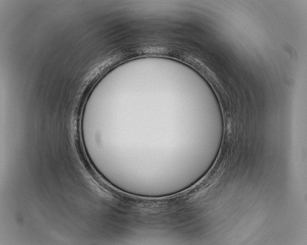 X0000112170725200908070959