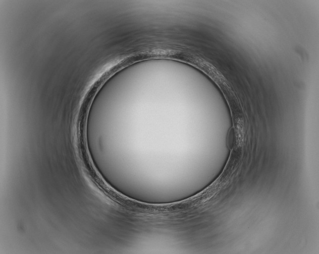 X0000112170726200908070959