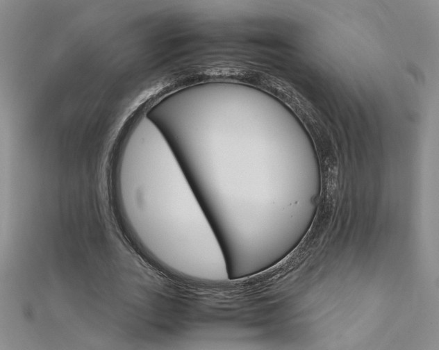 X0000112170727200908070959