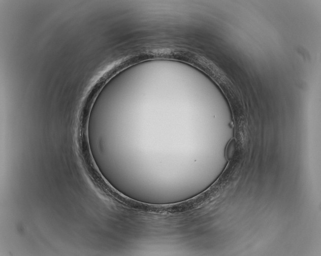X0000112170728200908070959