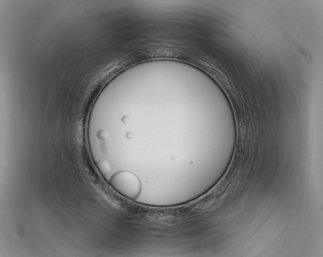 X0000112170729200908070959