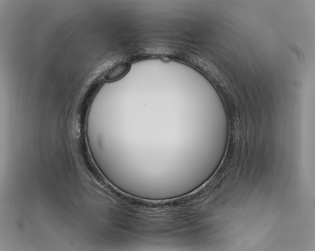 X0000112170731200908070959