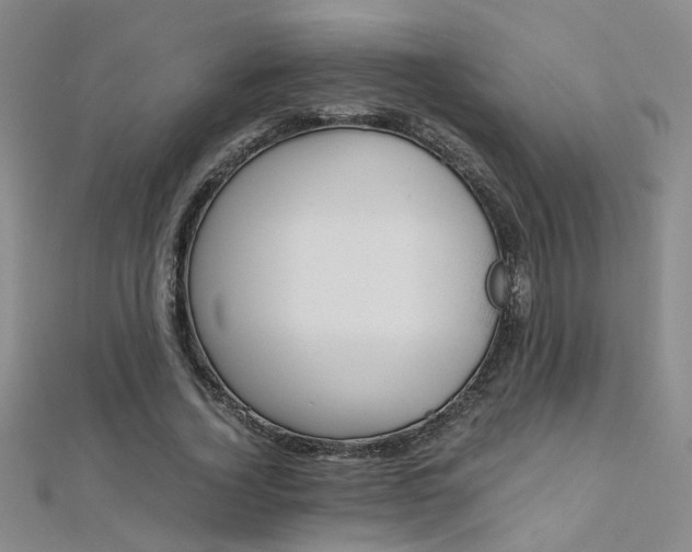 X0000112170732200908070959