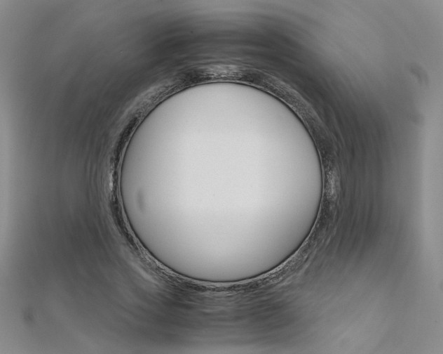 X0000112170733200908070959