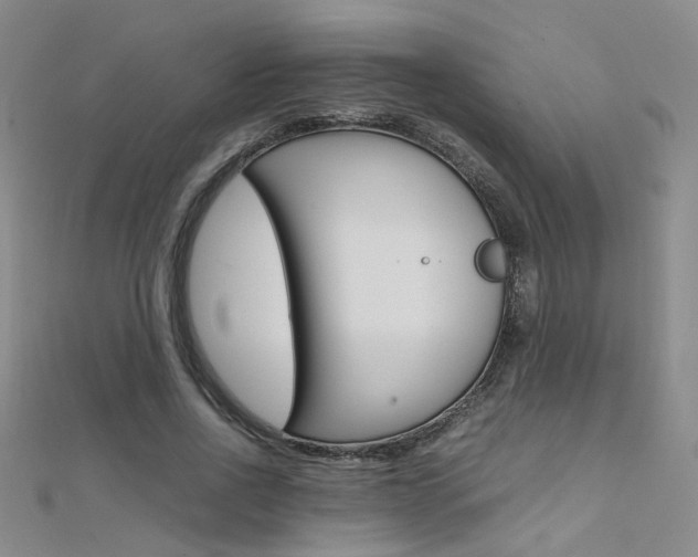 X0000112170734200908070959