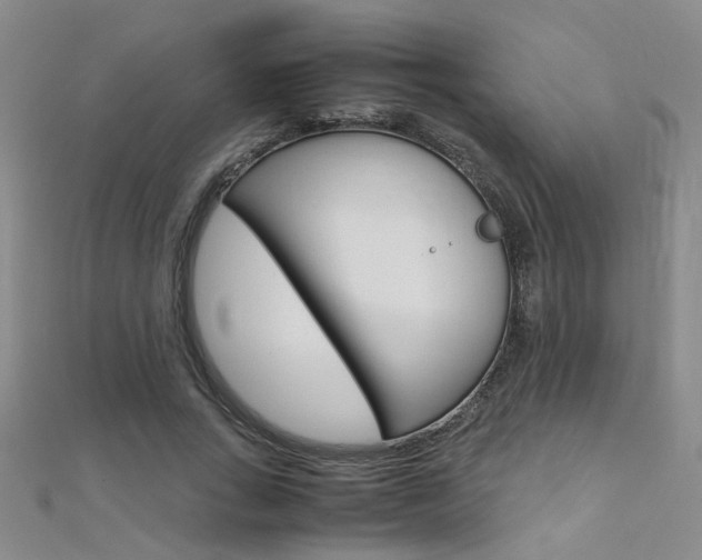 X0000112170735200908070959