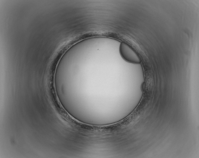 X0000112170736200908070959
