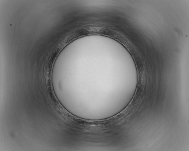 X0000112170737200908070959