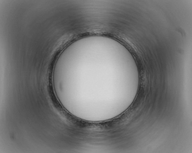 X0000112170738200908070959