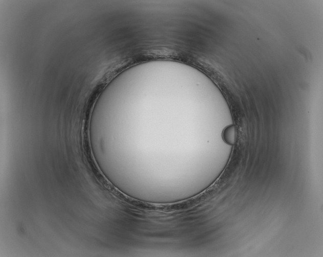 X0000112170739200908070959