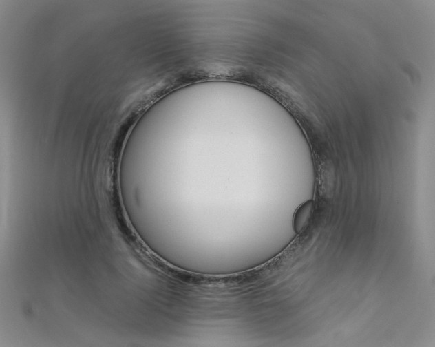 X0000112170740200908070959