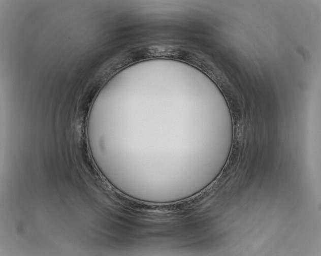 X0000112170741200908070959