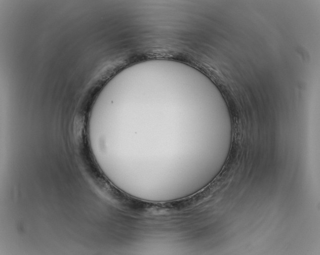 X0000112170742200908070959