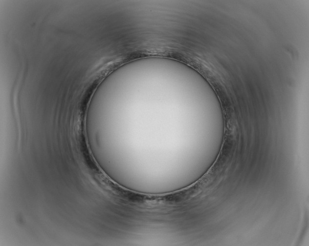X0000112170744200908070959