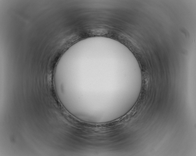 X0000112170745200908070959