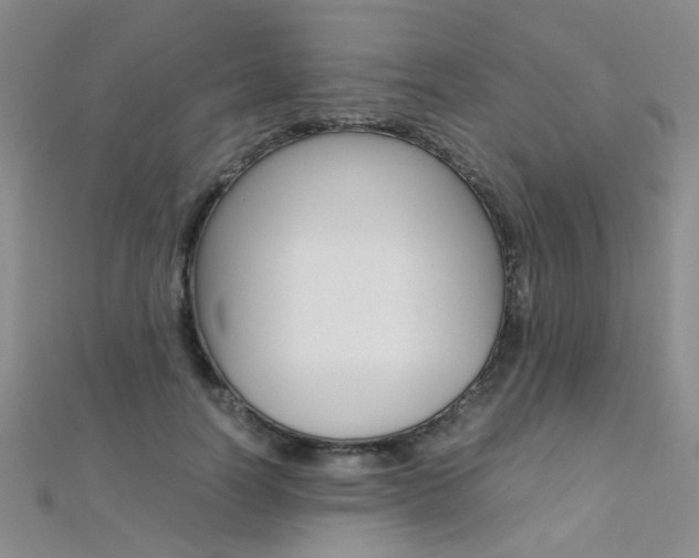 X0000112170746200908070959
