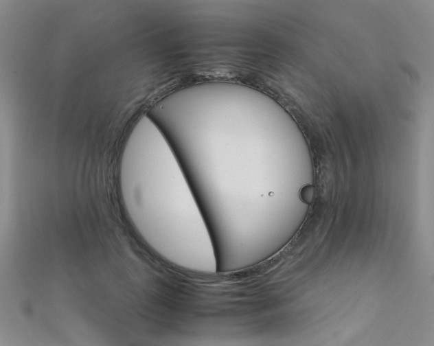 X0000112170747200908070959