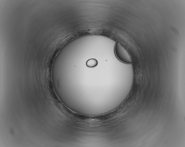 X0000112170748200908070959