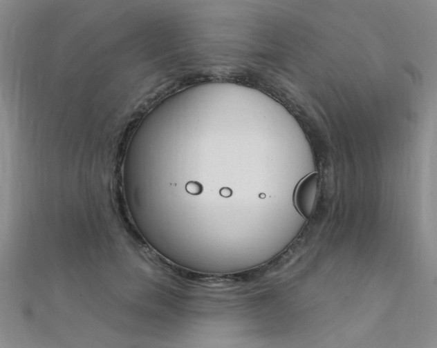 X0000112170750200908070959