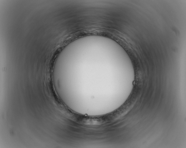 X0000112170751200908070959