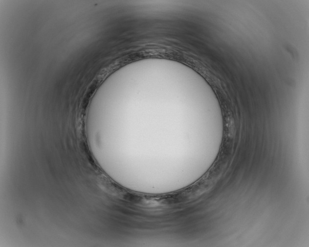 X0000112170753200908070959
