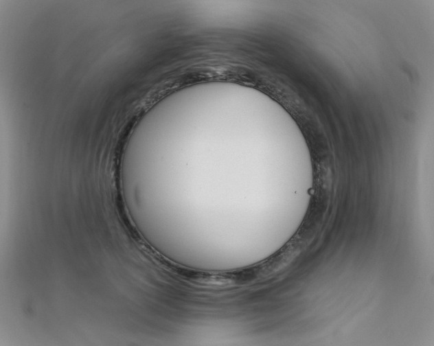 X0000112170754200908070959