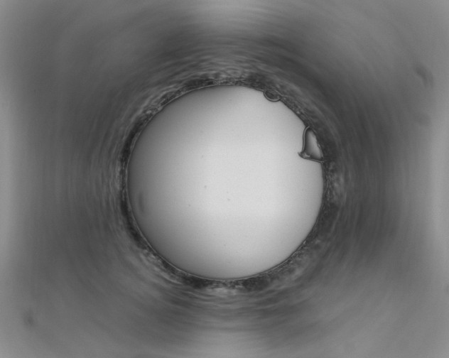 X0000112170756200908070959