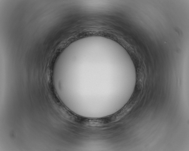 X0000112170758200908070959