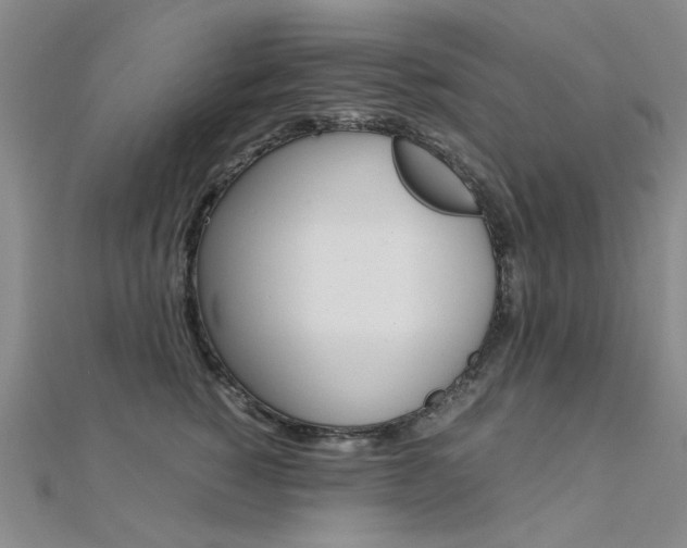 X0000112170760200908070959