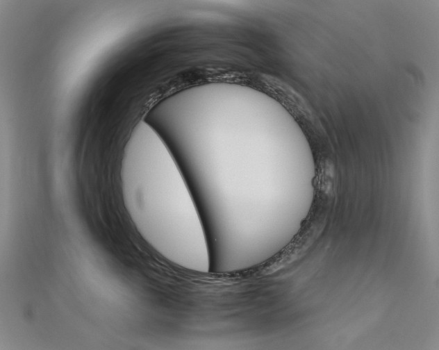 X0000112170763200908070959