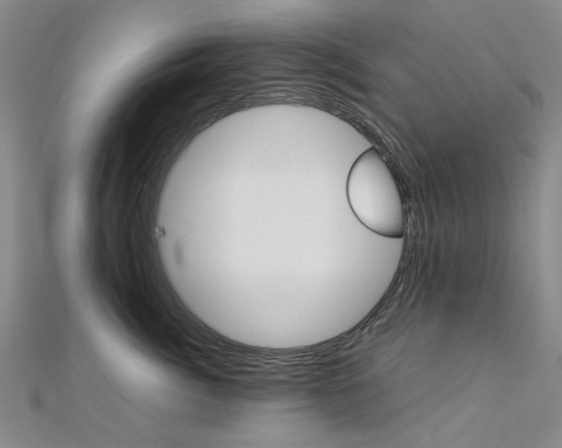 X0000112170764200908070959