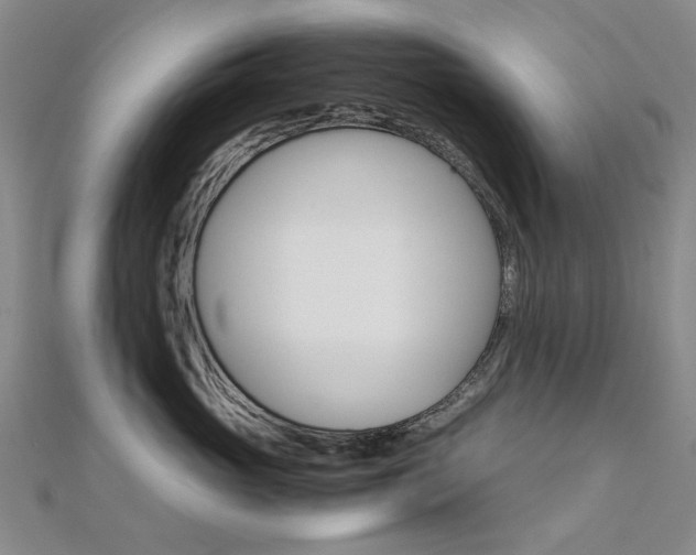 X0000112170765200908070959