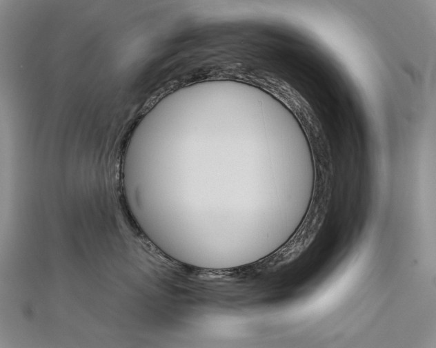 X0000112170767200908070959