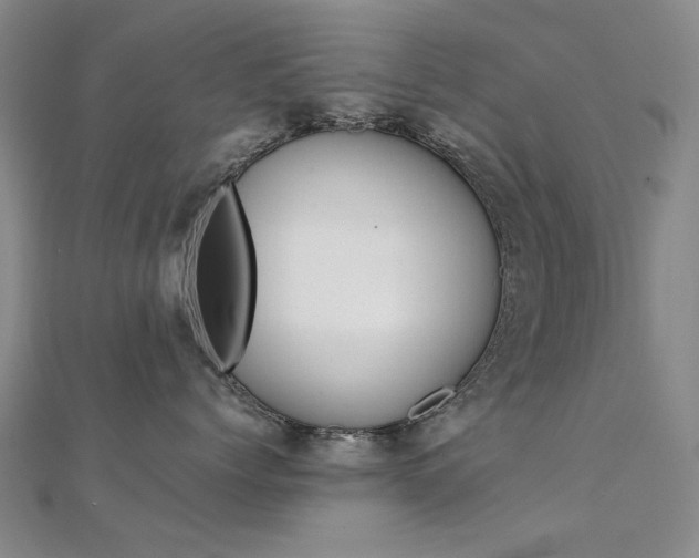 X0000112170768200908070959