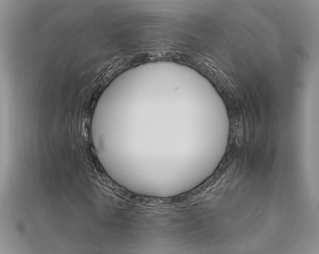 X0000112170770200908070959