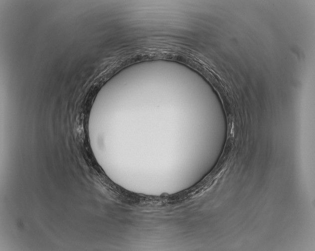 X0000112170771200908070959