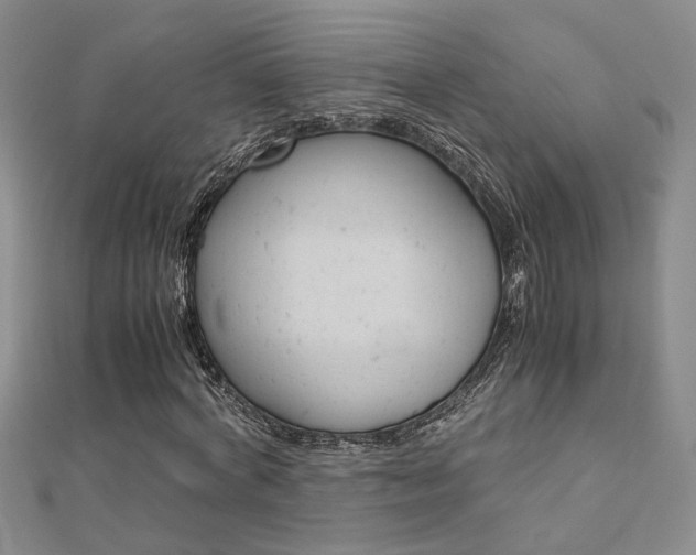 X0000112170772200908070959