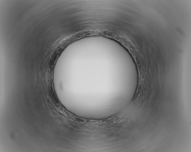 X0000112170773200908070959