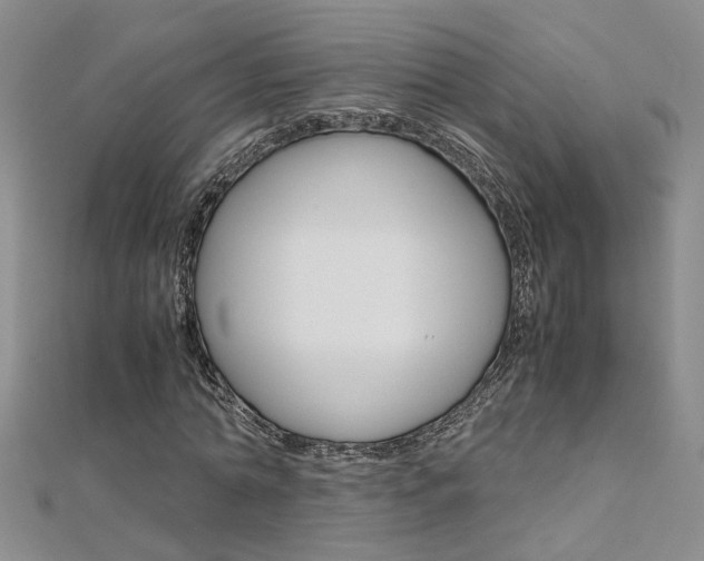 X0000112170774200908070959