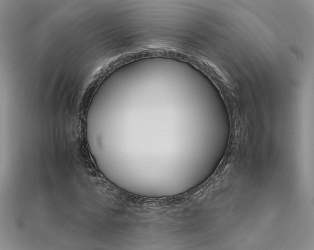 X0000112170776200908070959