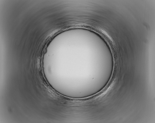X0000112170777200908070959