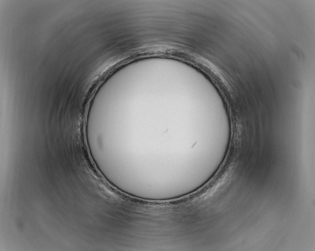 X0000112170778200908070958