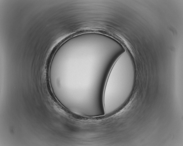 X0000112170779200908070958