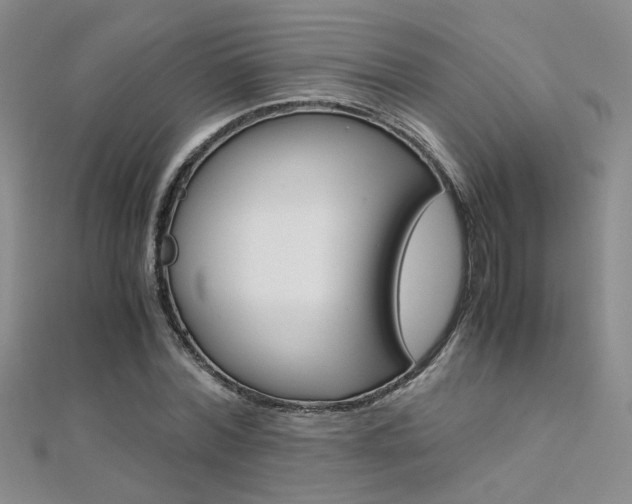 X0000112170780200908070958