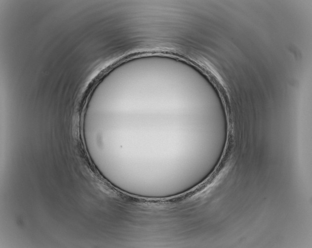 X0000112170781200908070958