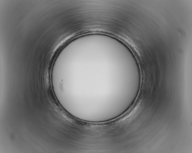 X0000112170782200908070958