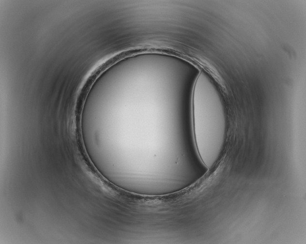 X0000112170784200908070958