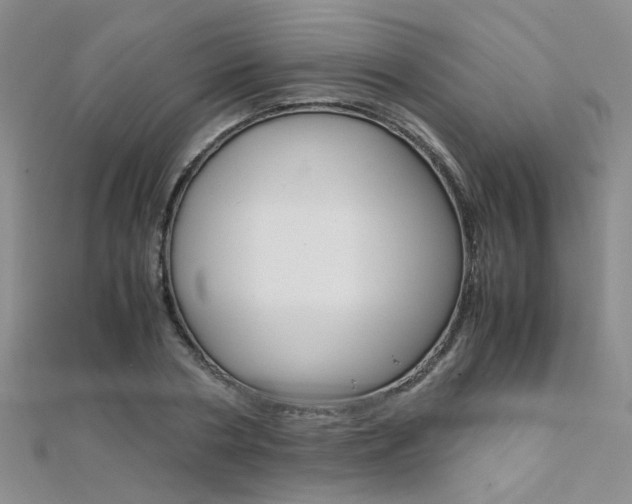 X0000112170786200908070958
