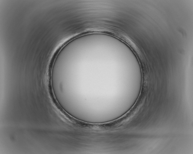 X0000112170787200908070958